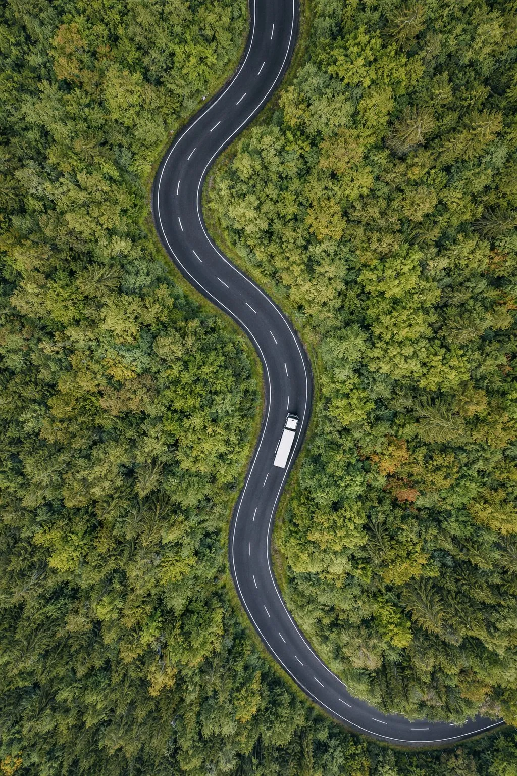 Sunkvežimis vingiuotame miško kelyje